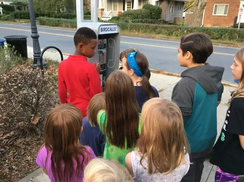 Children gathered around the Birdcalls payphone