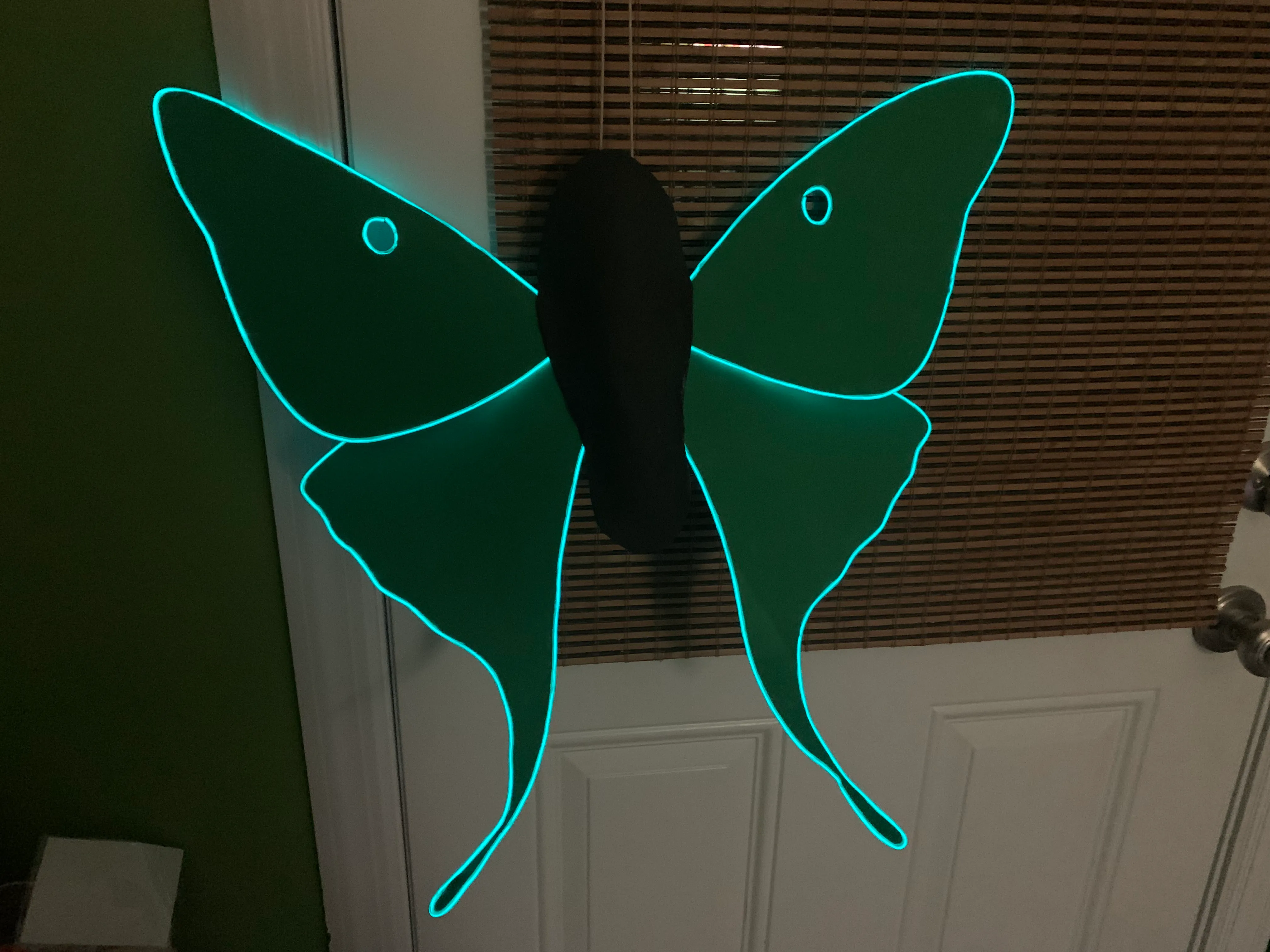 A newer iteration of the wings