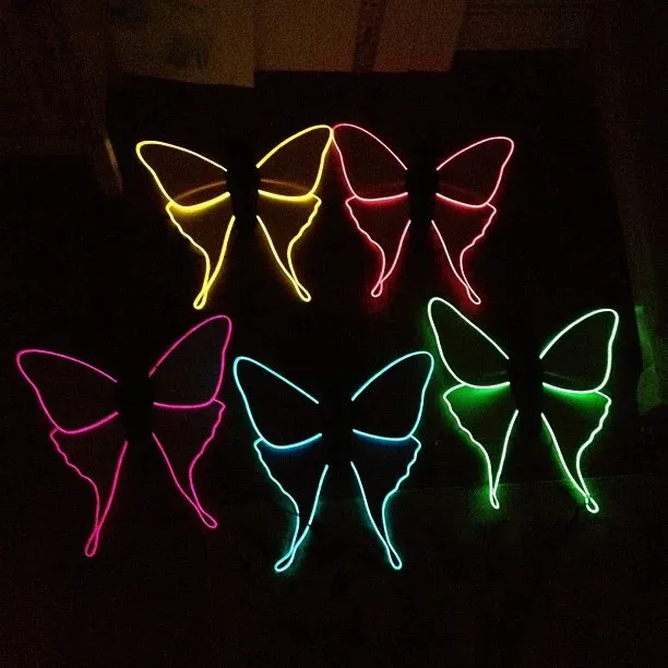 The wings in many colors